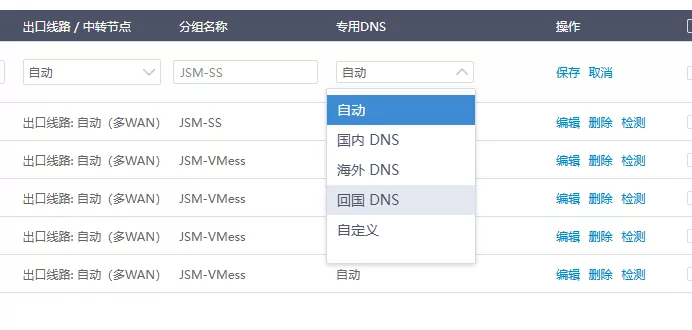 节点管理中的专用 DNS 选项